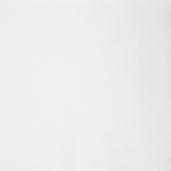 Immagine di 32996 TOVAGLIOLO BIANCO 1 VELO 30x30cm