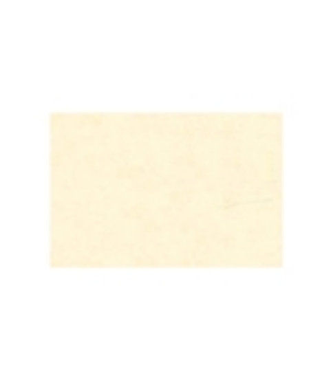 Immagine di TOVAGLIETTA TNT CREMA 33x45cm