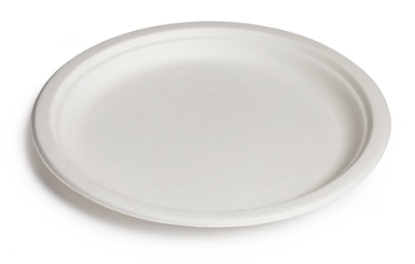 Immagine di PIATTO PIANO BIO OK IN BAGASSA Ø26cm