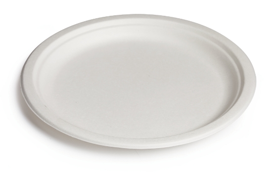 Immagine di PIATTO PIANO BIO OK IN BAGASSA Ø26cm