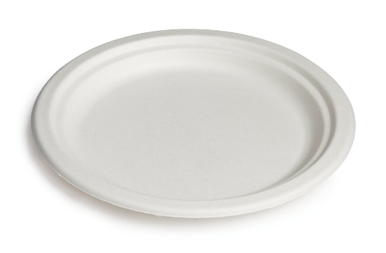 Immagine di PIATTO PIANO BIO OK IN BAGASSA Ø22cm