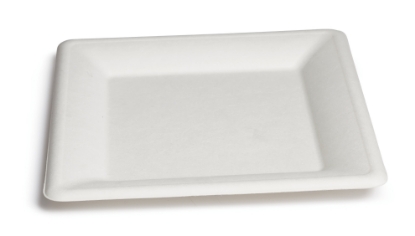 Immagine di PIATTO QUADRO BIO OK 20cm