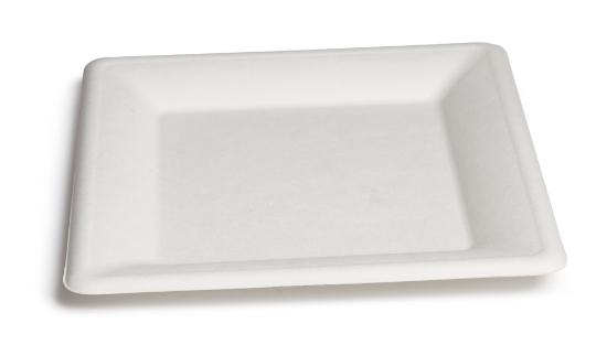 Immagine di PIATTO QUADRO BIO OK 20cm