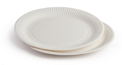 Immagine di PIATTO PIANO CARTA BIANCO BIO Ø23cm