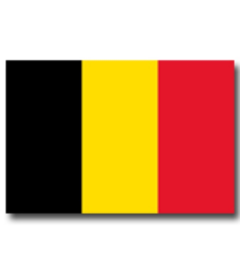 Immagine di BANDIERA BELGIO 50x75cm 