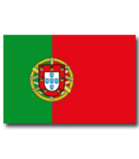 Immagine di BANDIERA PORTOGALLO 50x75cm 