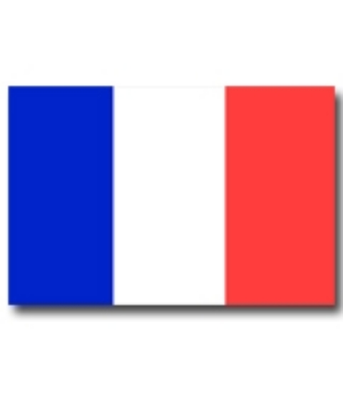 Immagine di BANDIERA FRANCIA 130x200cm 