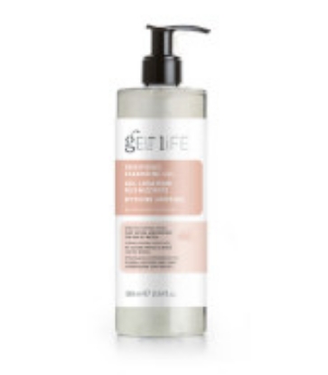 Immagine di GEL IGIENIZZANTE ml.380