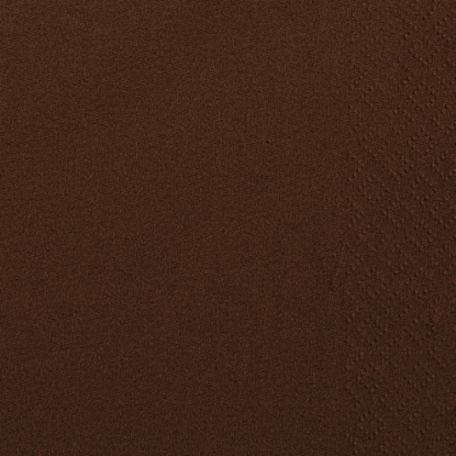 Immagine di TOVAGLIOLO 2 VELI MARRONE ECOLABEL 33x33cm