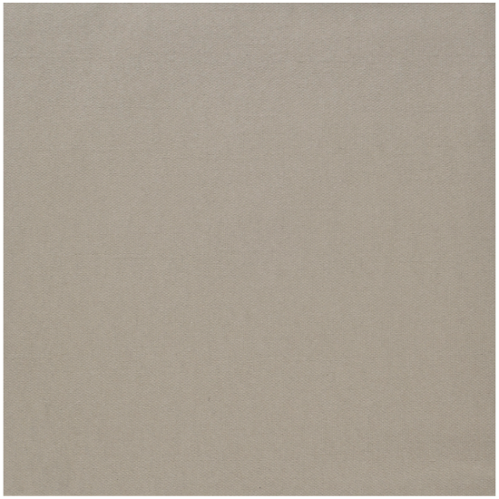 Immagine di 200936 TOVAGLIOLI  BIO DUNISOFT GREIGE 40x40cm  
