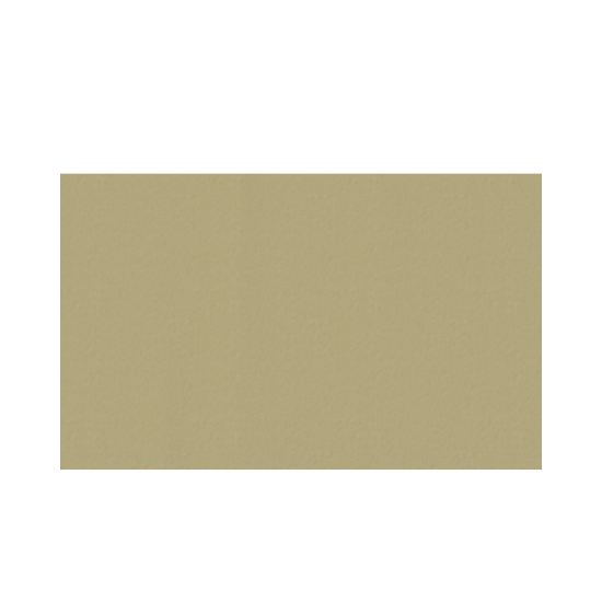 Immagine di TOVAGLIETTA TNT SABBIA 35x44cm 