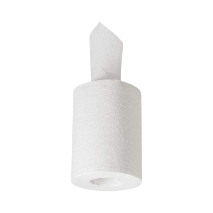 Immagine di ASCIUGATUTTO MINI A  ESTRAZIONE CENTRALE 2 VELI ECOLABEL