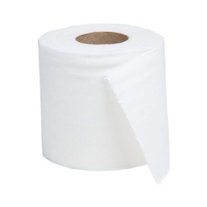 Immagine di CARTA IGIENICA PLUS PURA CELLULOSA 2 VELI ECOLABEL